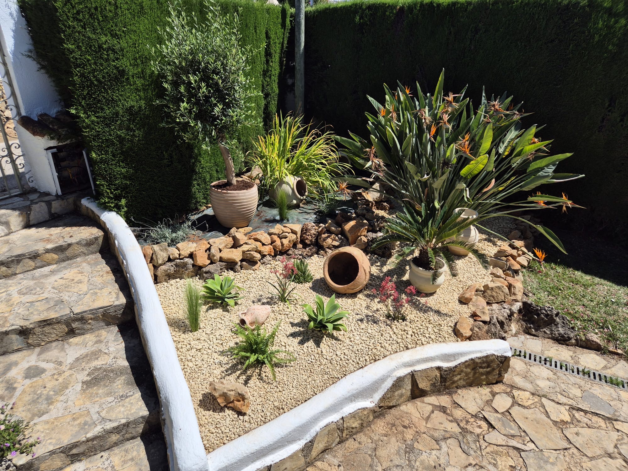 Imagen del servicio de diseño de jardines y plantación de Palm Kings